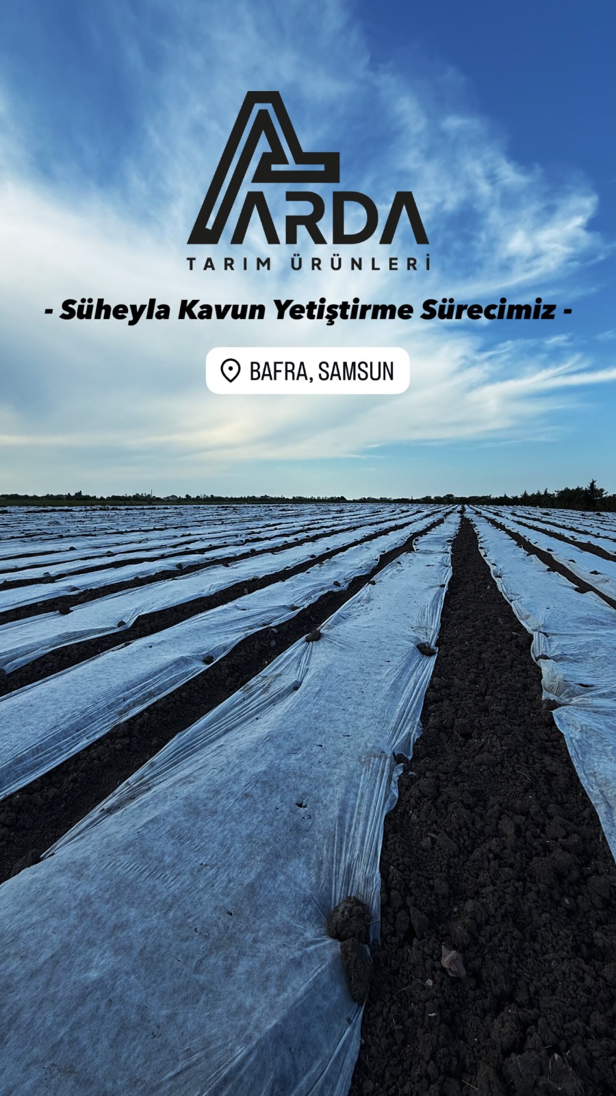 Yetiştirme